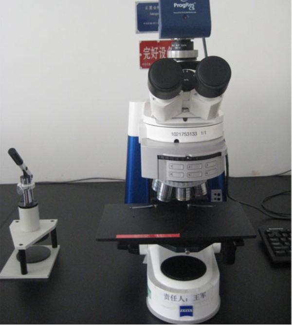 <b>Normal optical microscope (Germany)</b>